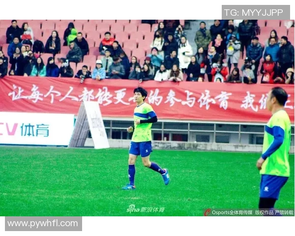 荷兰足球明星身价飙升背后的故事与市场分析