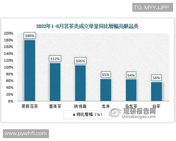 重庆排球队意识提升与战术创新的深度探讨与分析