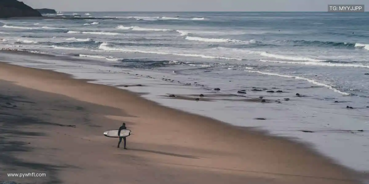 🎁球迷必备，周边狂欢！👕穿上热爱，让世界见证你的主队精神！